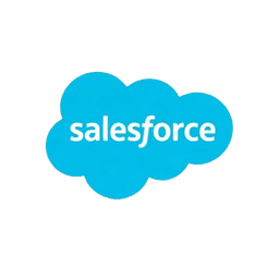 Salesforce Partner